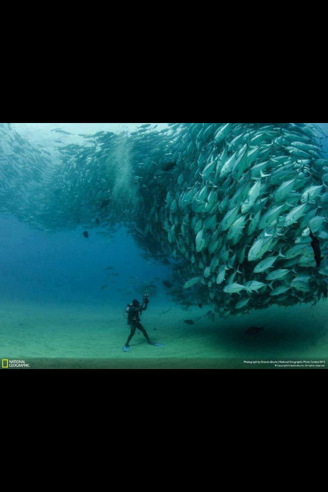 diverse - IMG_0119.PNG